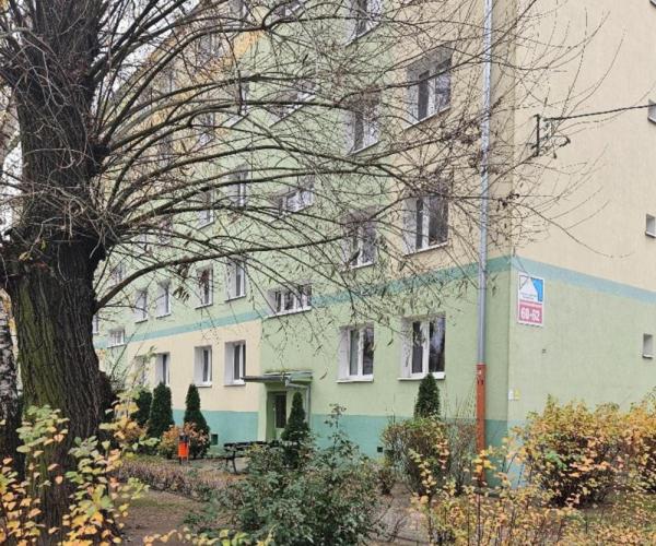 pabianice
