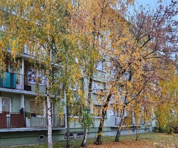 czajkowskiego2