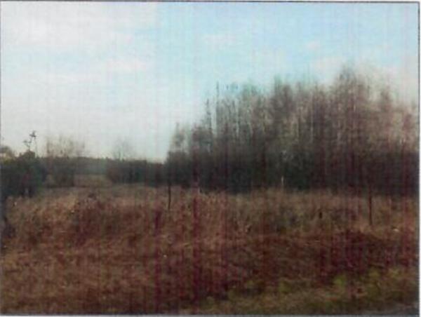 Lubiszewice4
