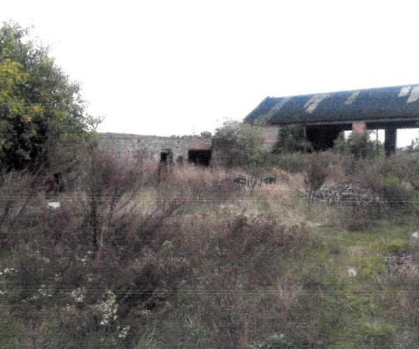 komadzyn7