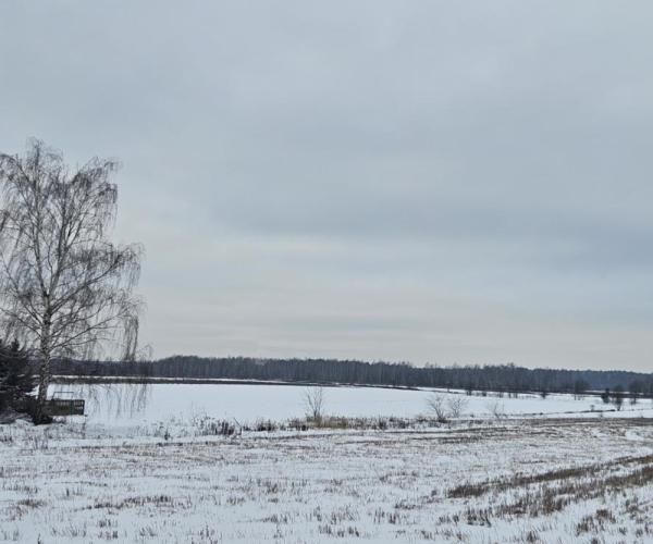 nagorzycka