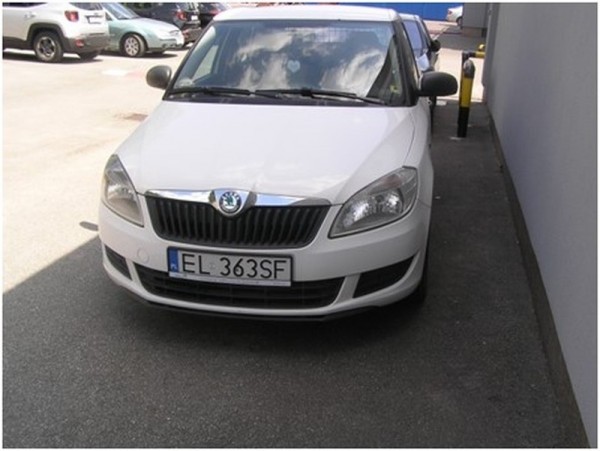 Fabia1